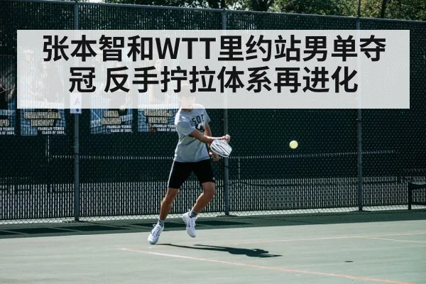 张本智和WTT里约站男单夺冠 反手拧拉体系再进化