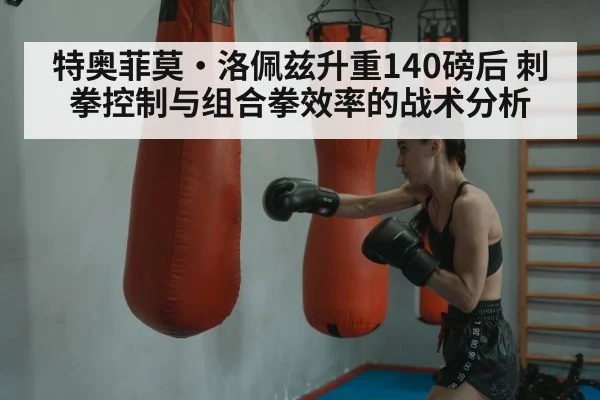 boxing punching bag